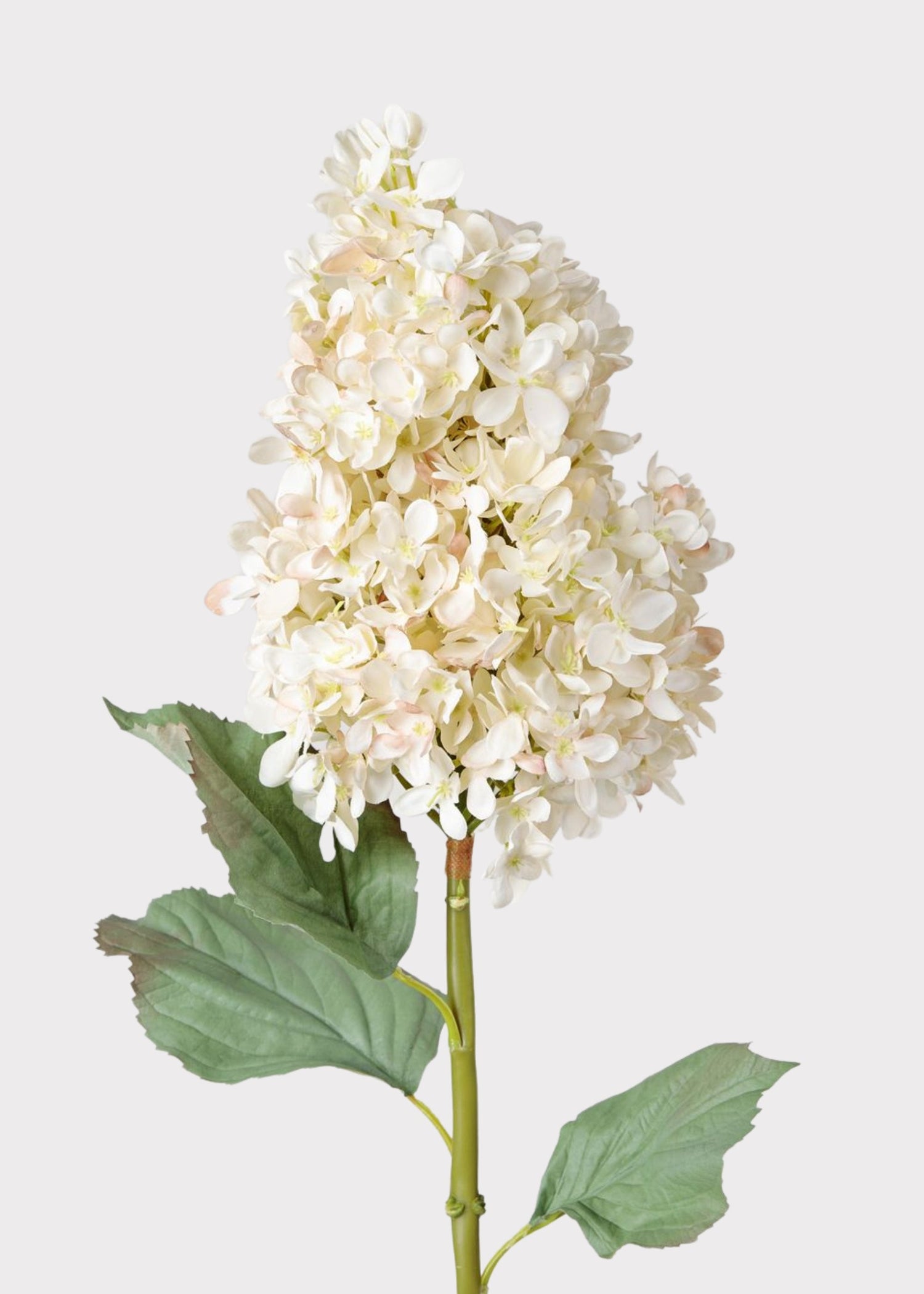SAVE - Large Deluxe Faux Dried Cone Hydrangea in Parchment