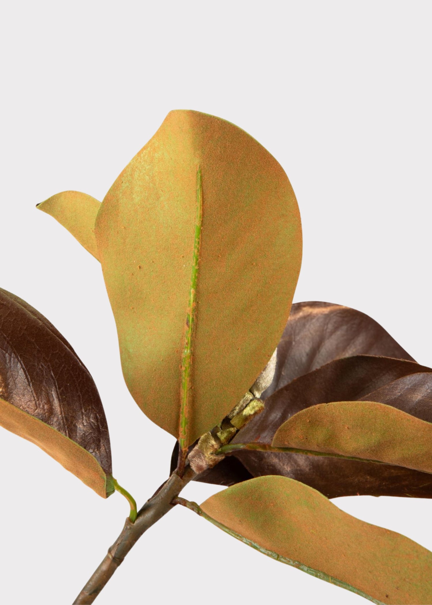 Warm Brown Fake Magnolia Leaf Branch - 38.5