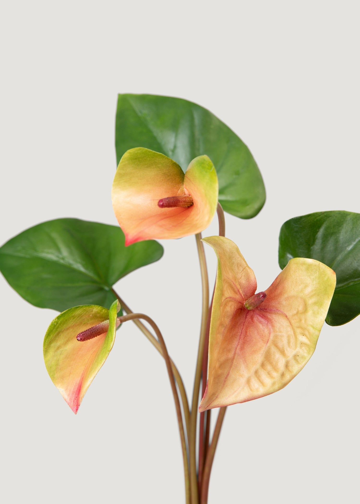 Pink and Green Fake Tropical Flower Anthurium Bundle - 25