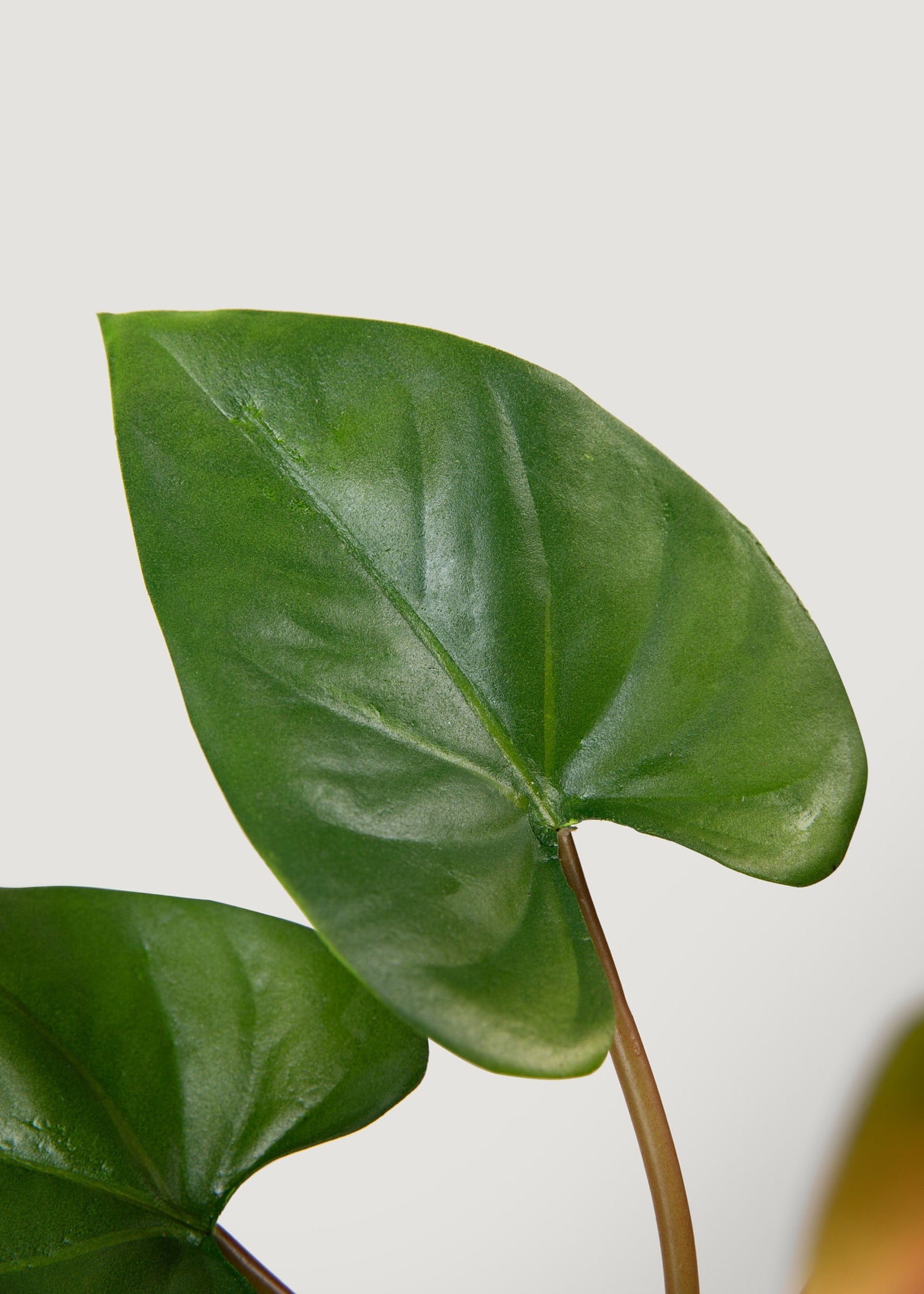 Pink and Green Fake Tropical Flower Anthurium Bundle - 25