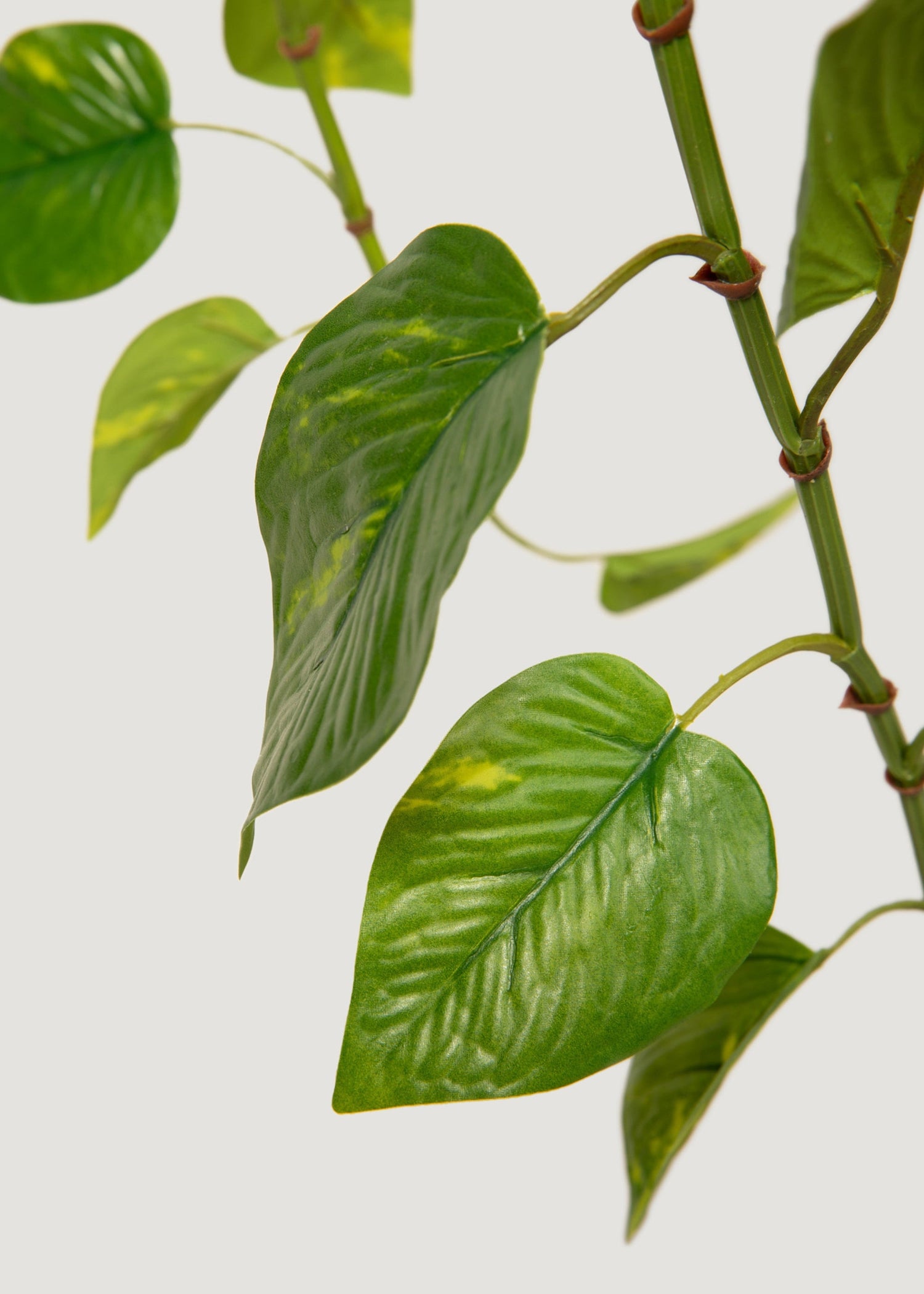 Natural Touch Pothos Artificial Plant - 48