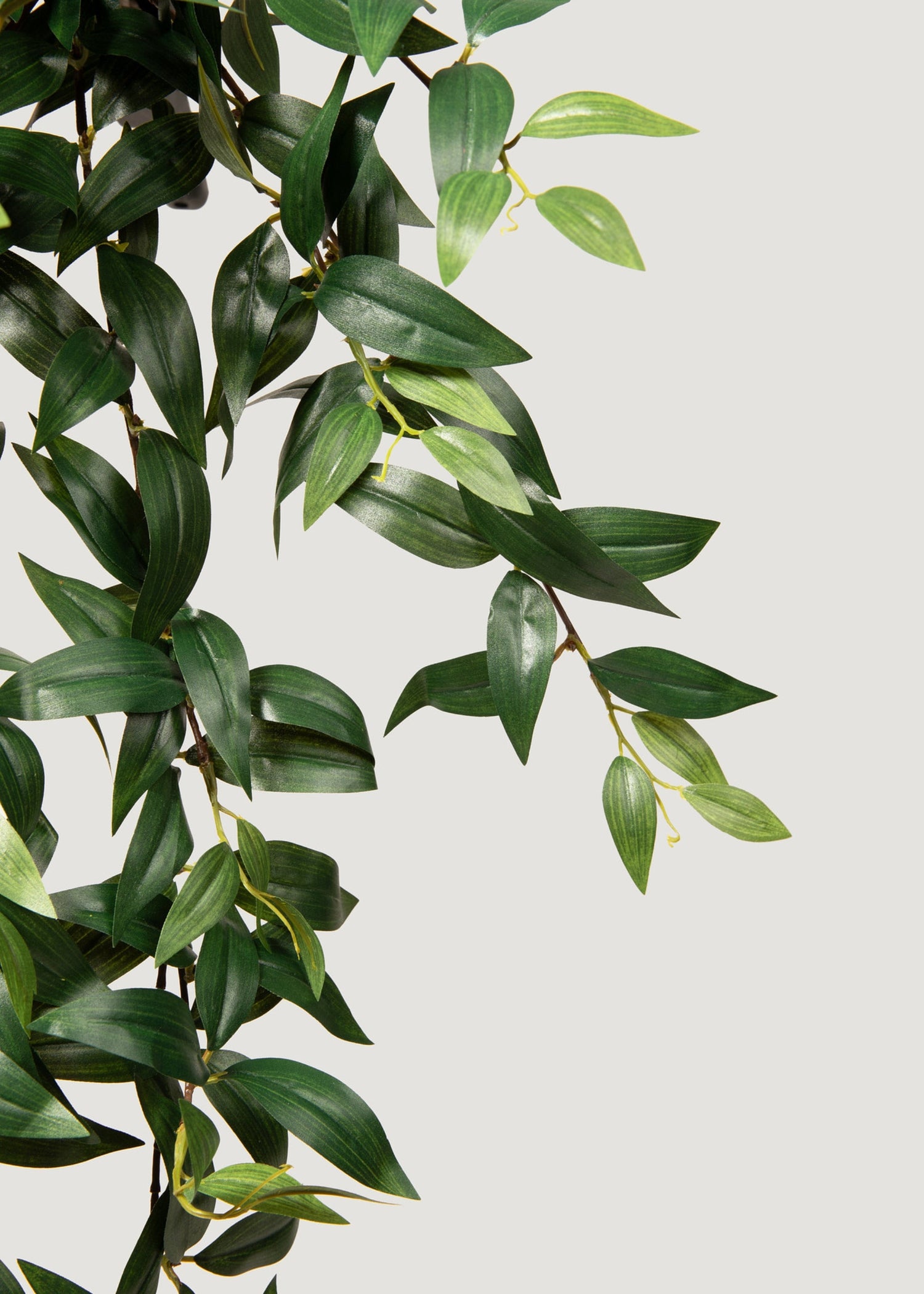Fake Ruscus Leaf Hanging Plant - 31