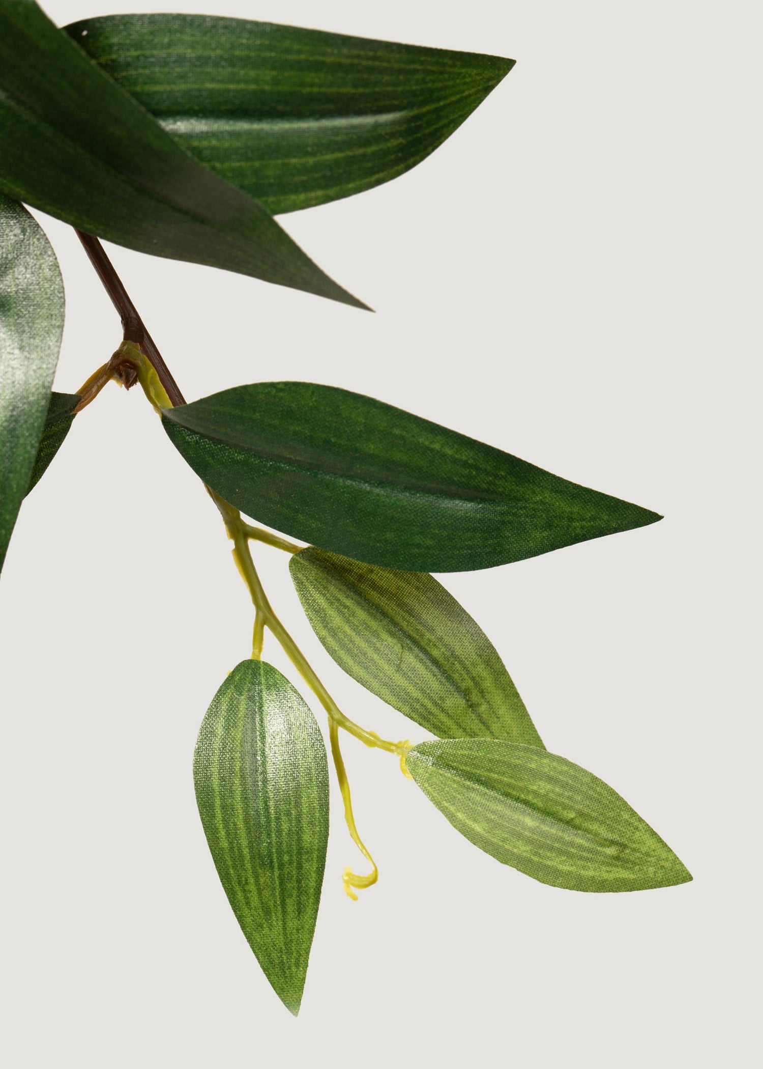 Fake Ruscus Leaf Hanging Plant - 31