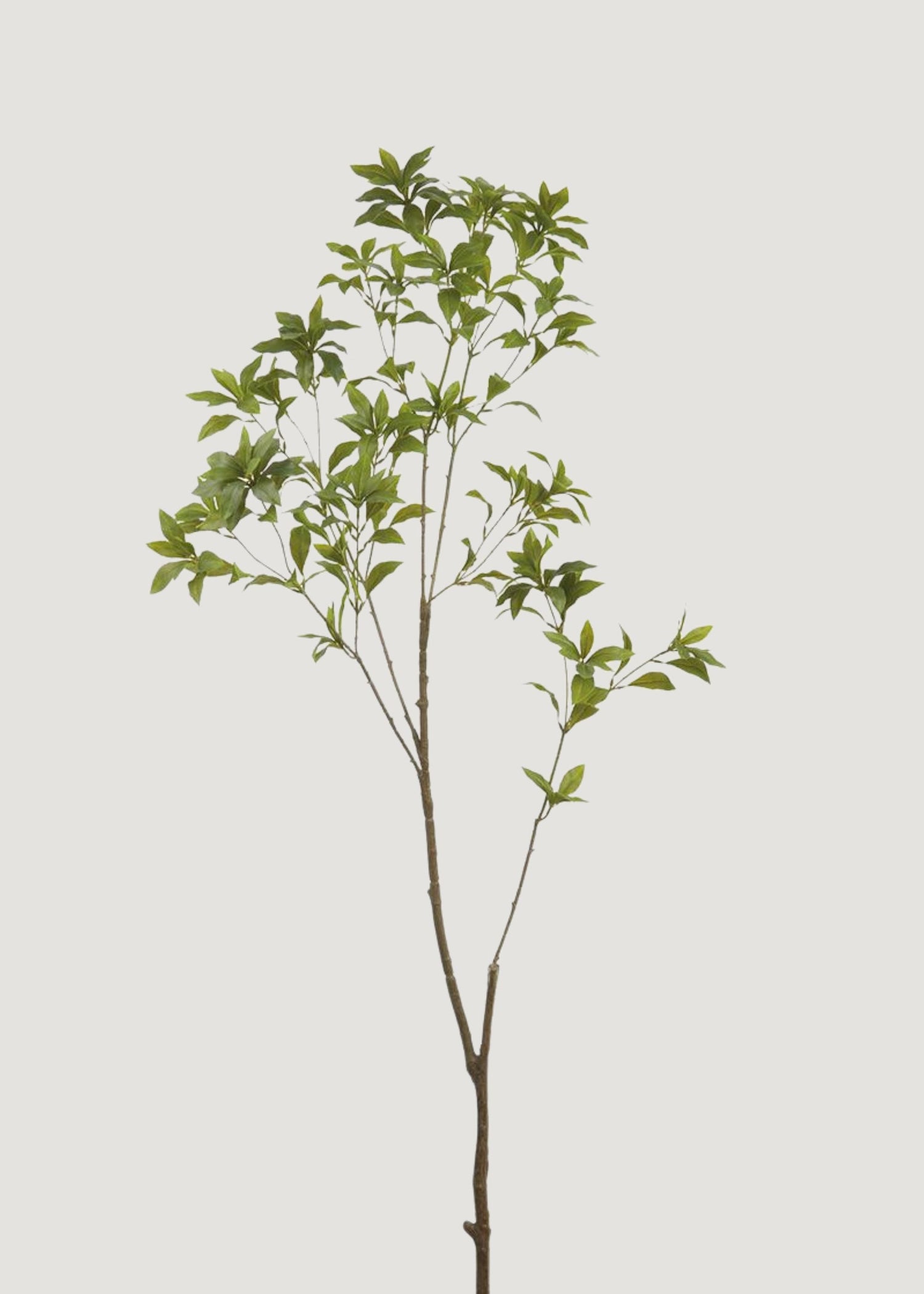 Deluxe Tall Japonica Fake Leaf Branch - 59