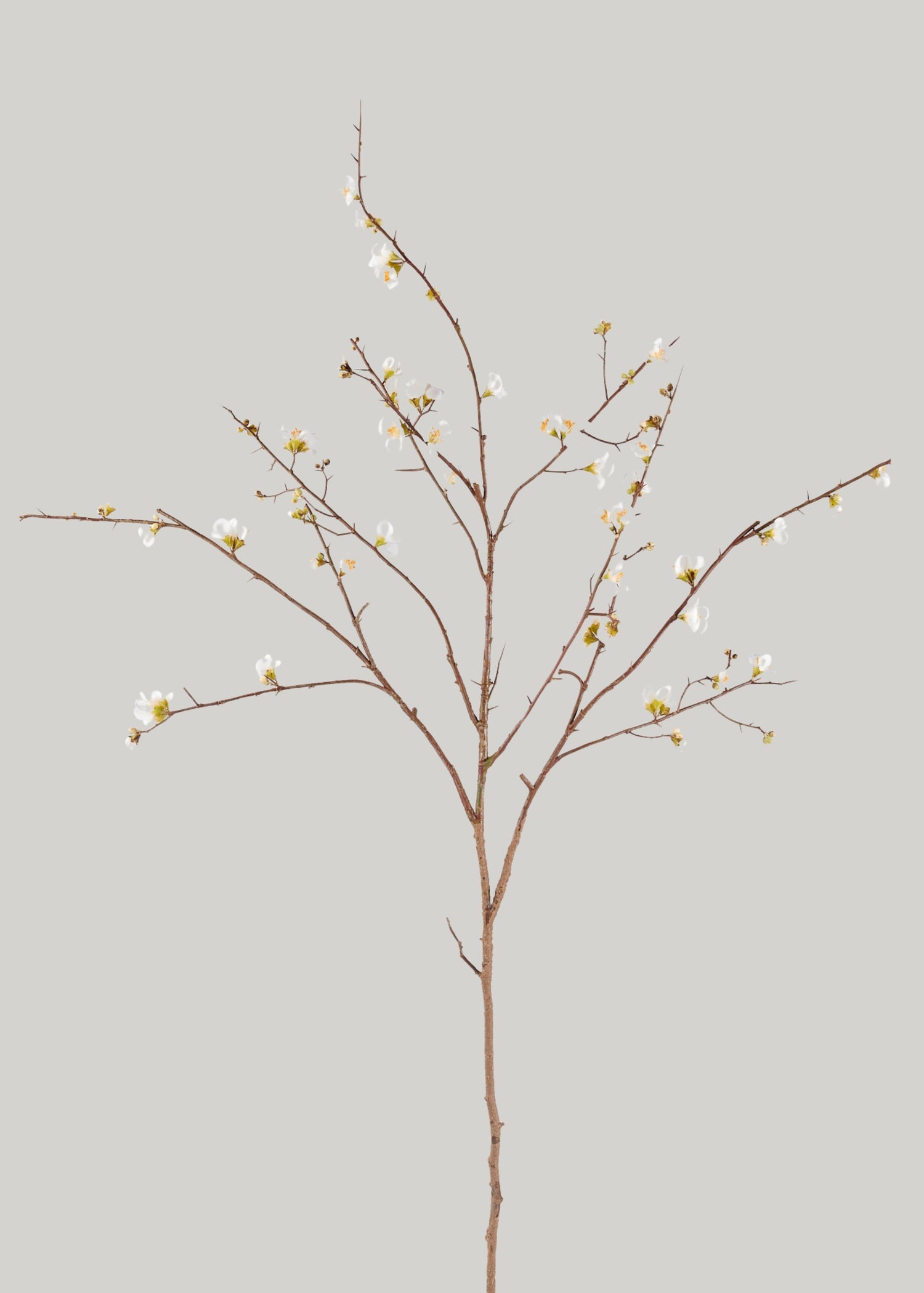 SAVE - Faux Quince Blossom Branch in Cream - 54