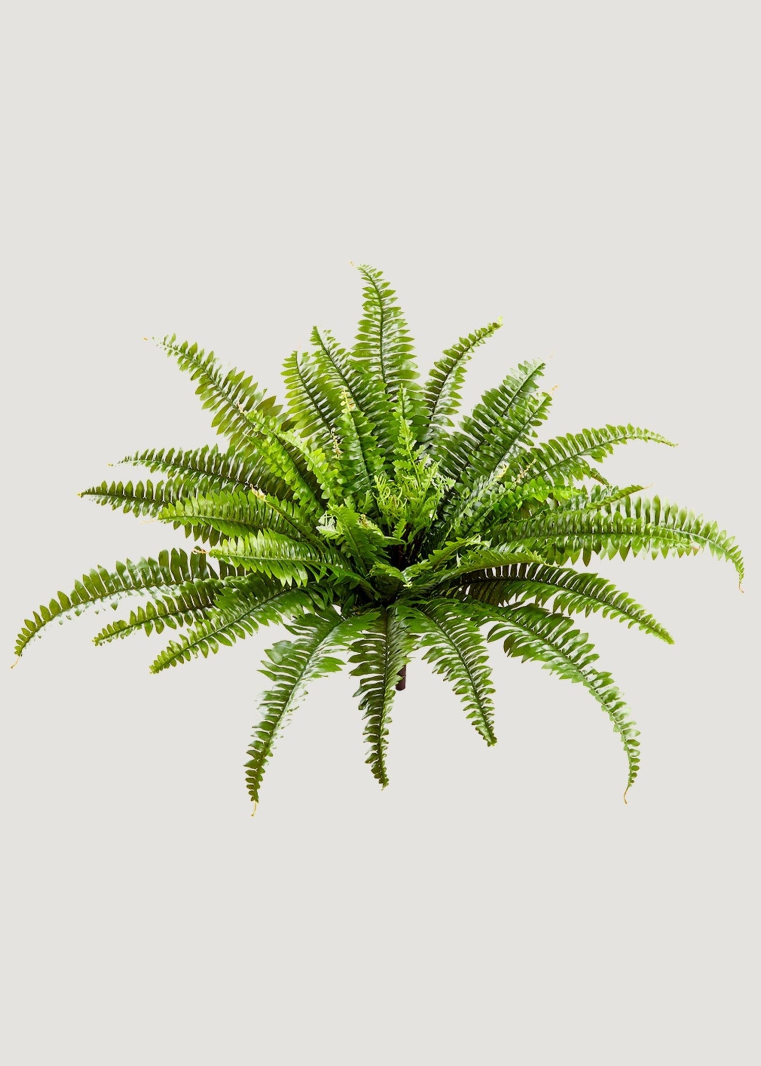 UV Resistant Indoor/Outdoor Fake Boston Fern Plant - 23