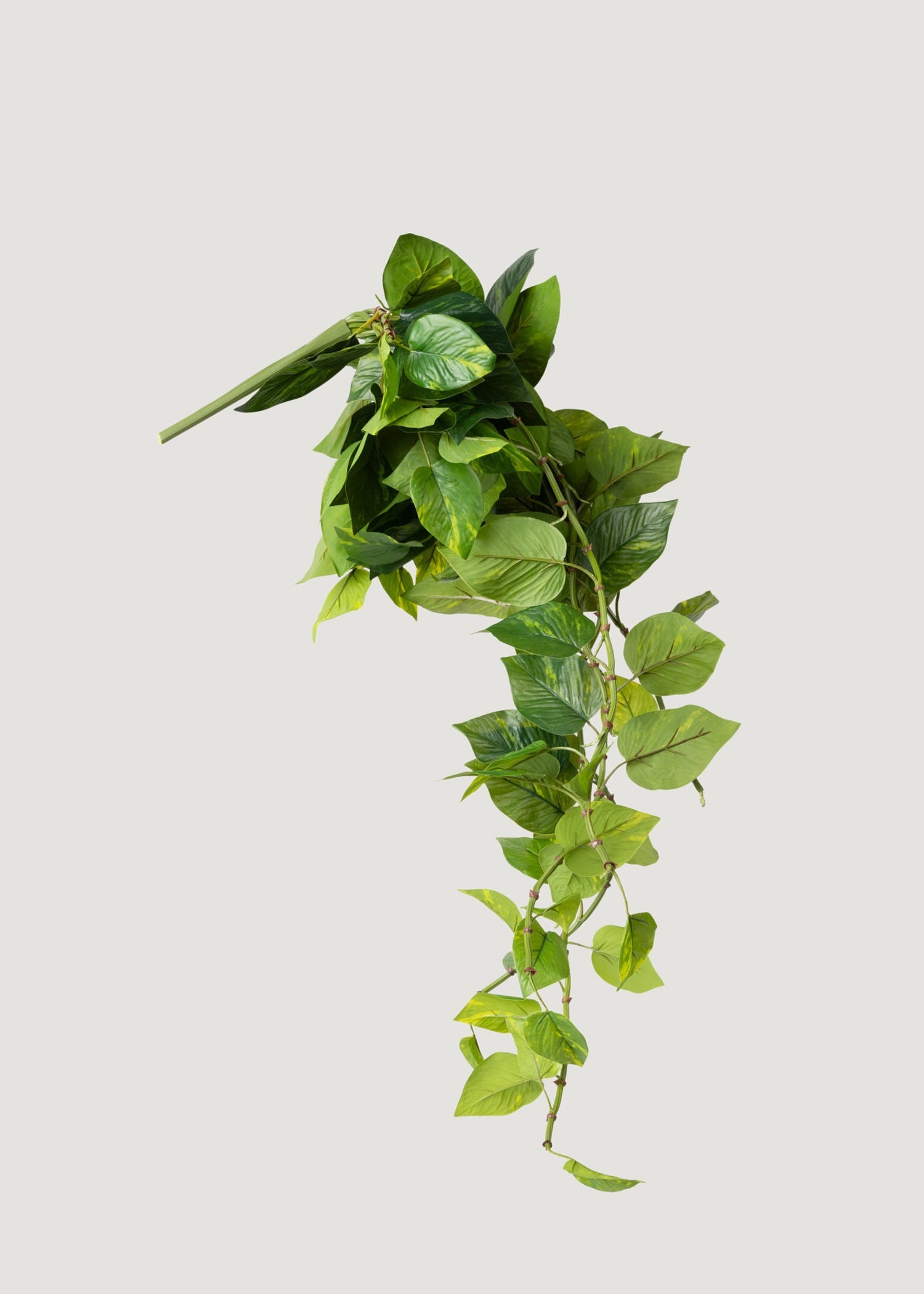 Natural Touch Pothos Artificial Plant - 48