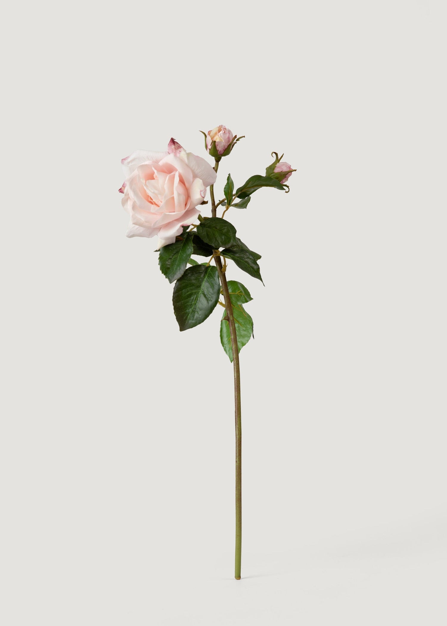 Soft Pink Real Touch Fake Juliet English Rose - 22