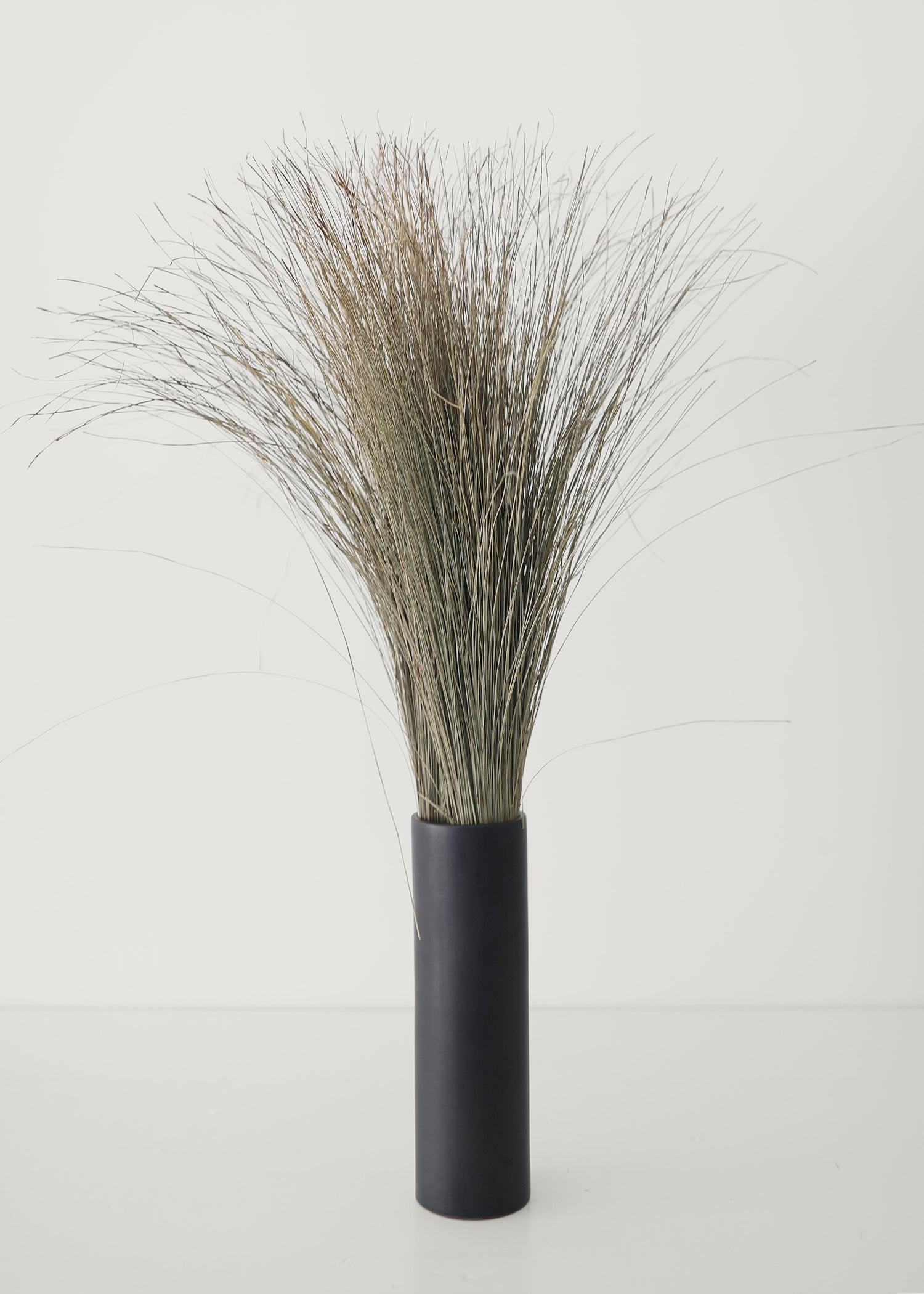 Preserved Coastal Dune Grass - 36