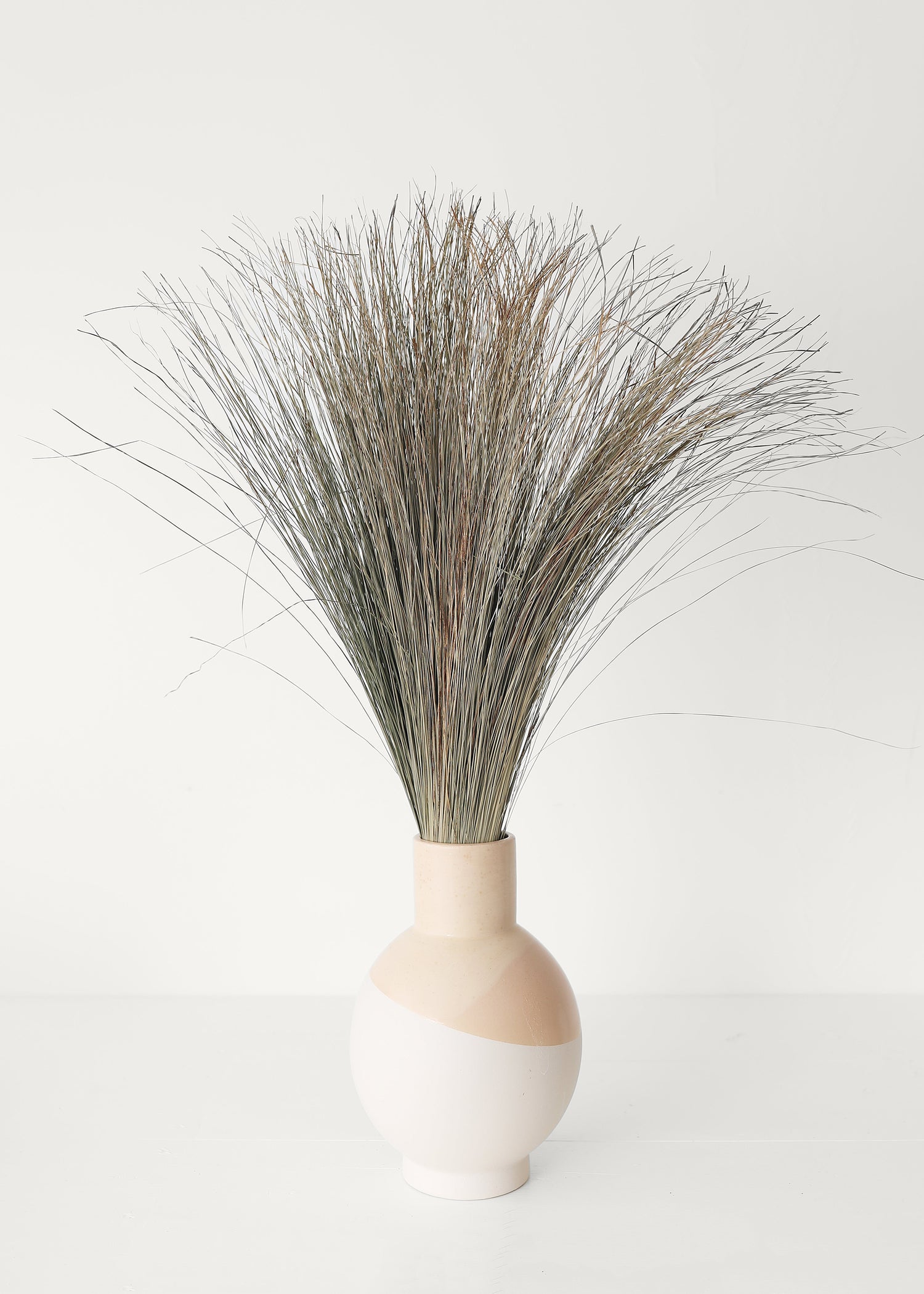 Preserved Coastal Dune Grass - 36