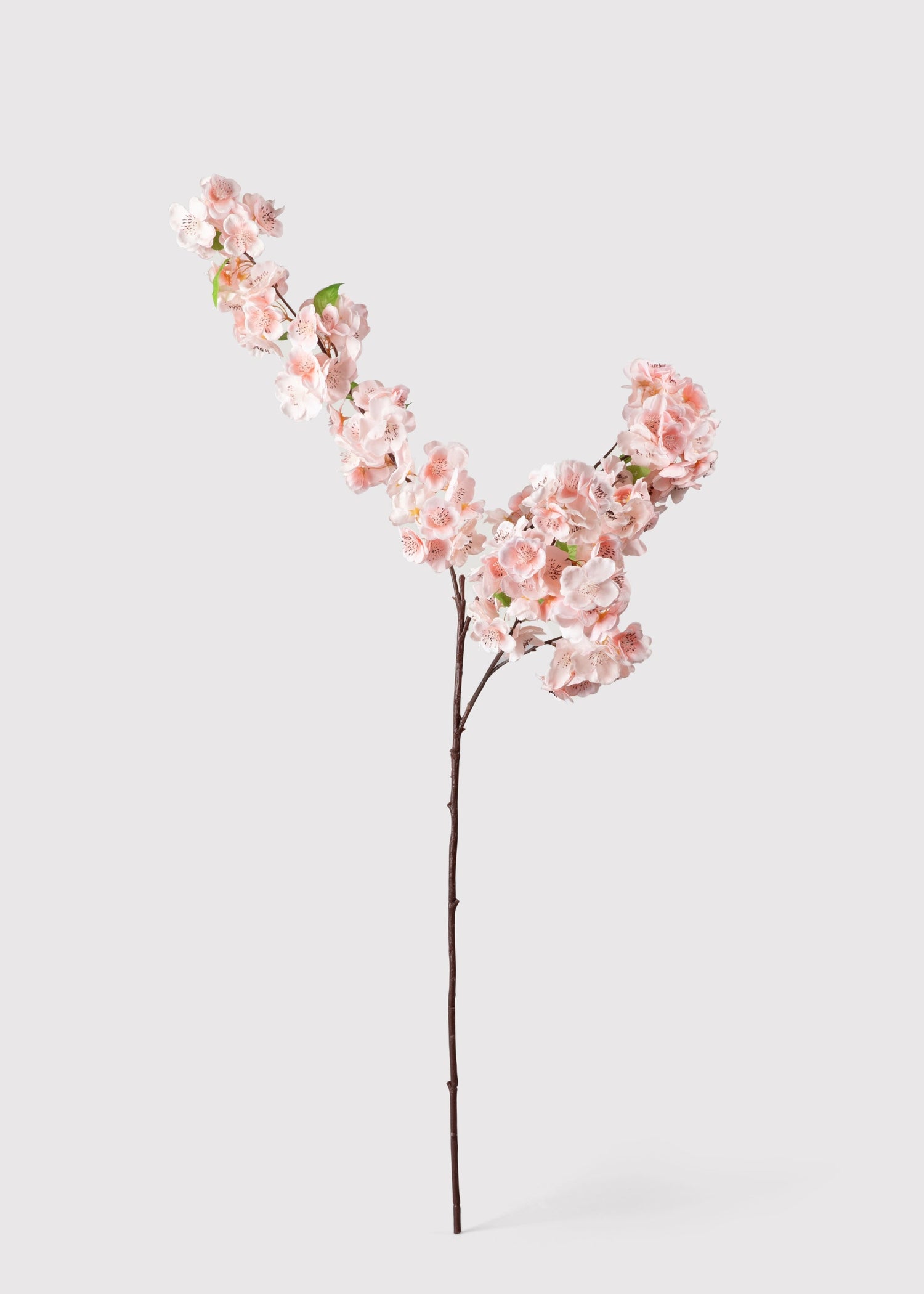 Faux Cherry Blossom in Pink - 44