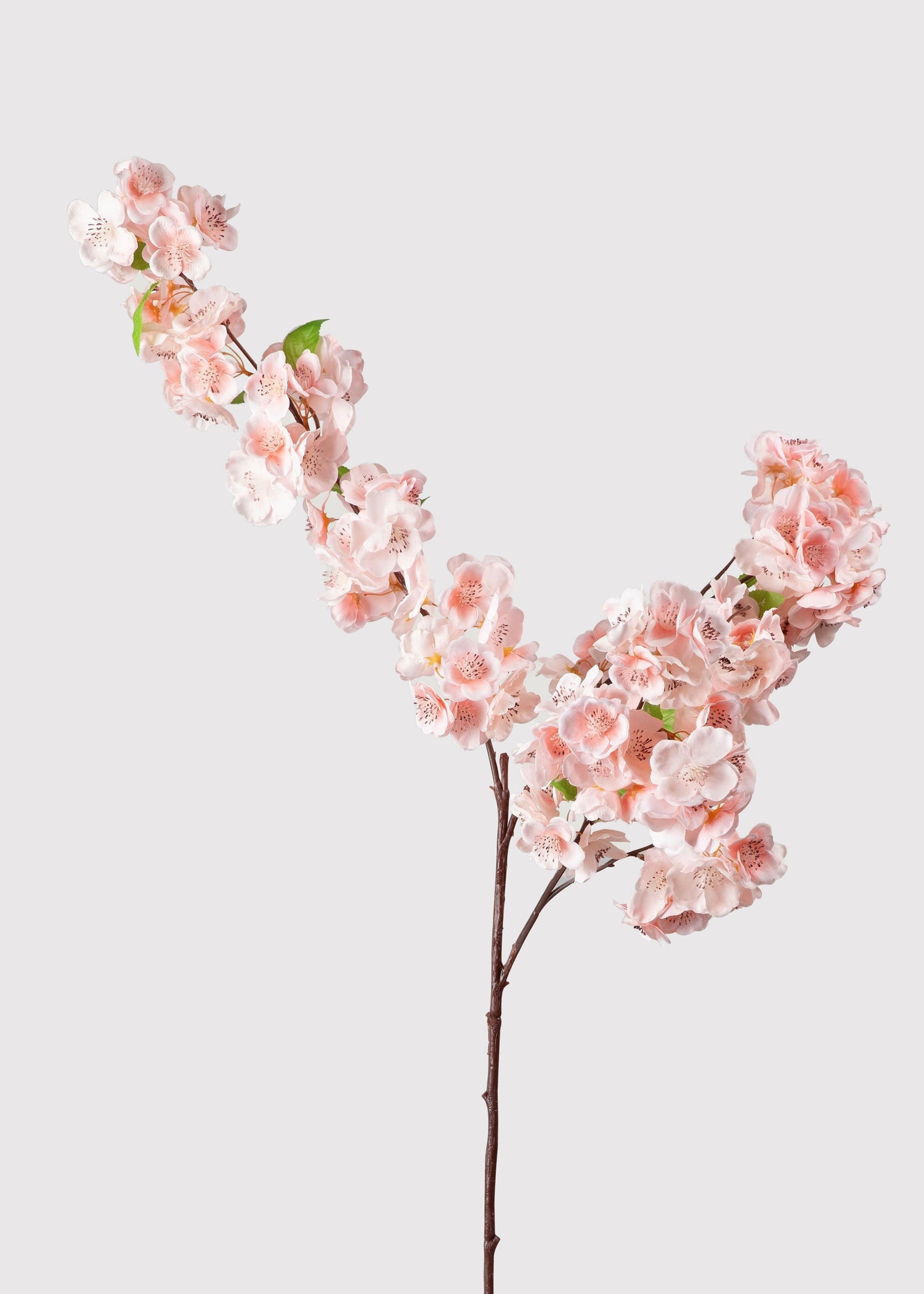 Faux Cherry Blossom in Pink - 44