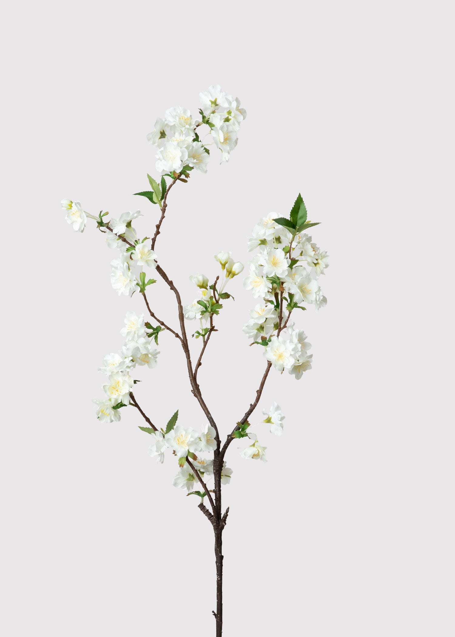 Cream White Artificial Cherry Blossom Branch - 36
