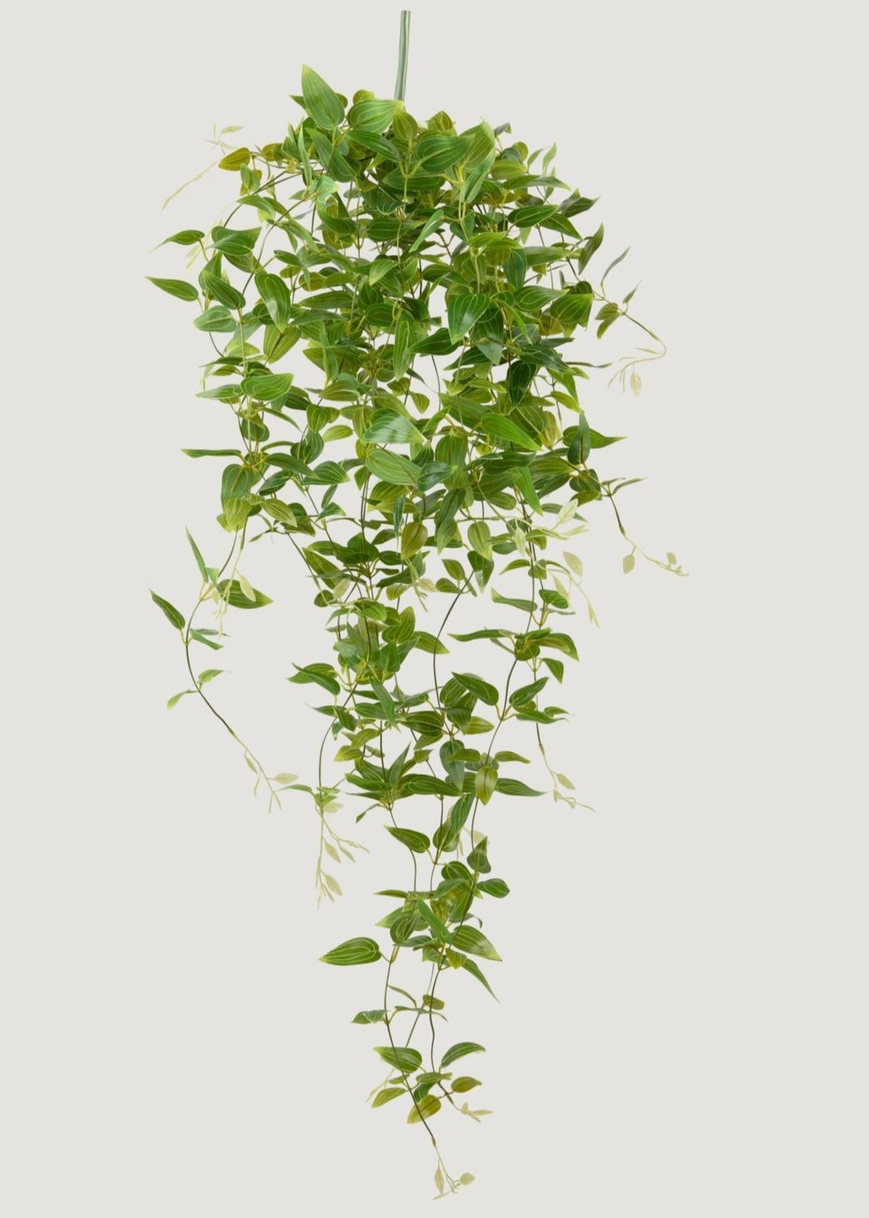 Deluxe Artificial Plants Hanging Tradescantia Houseplant- 41
