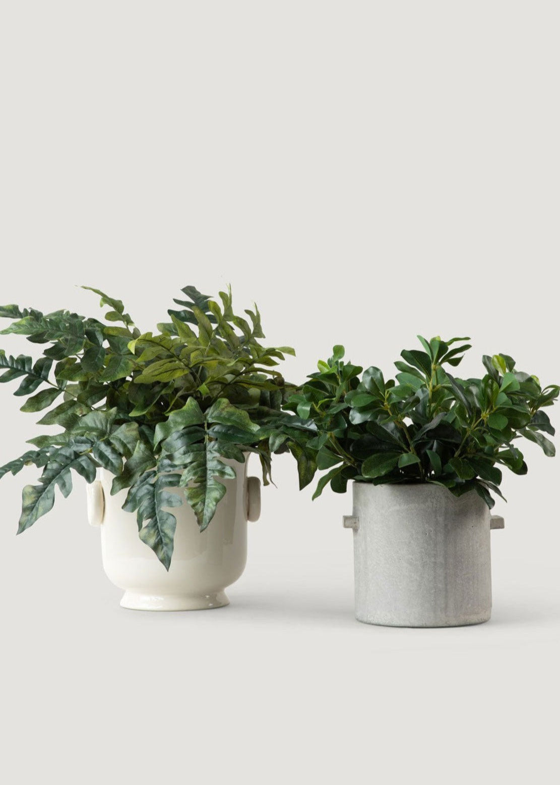 Natural Touch Artificial Wax Privet Leaf Plant - 15