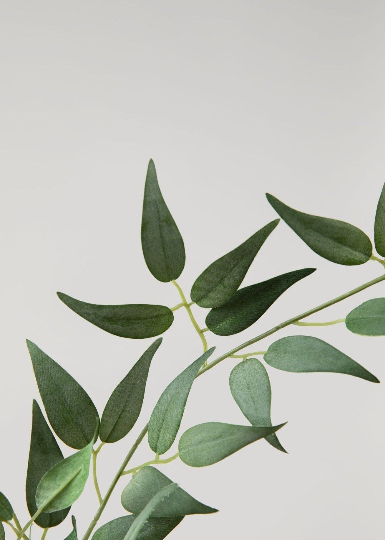 Faux Italian Ruscus Spray - 46