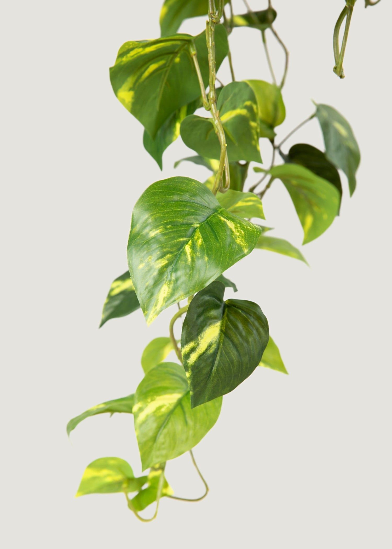 Deluxe Real Touch Pothos Fake Hanging Plant - 36