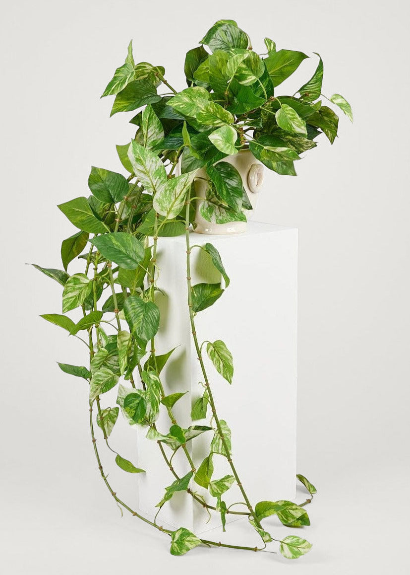 Natural Touch Pothos Artificial Plant - 48