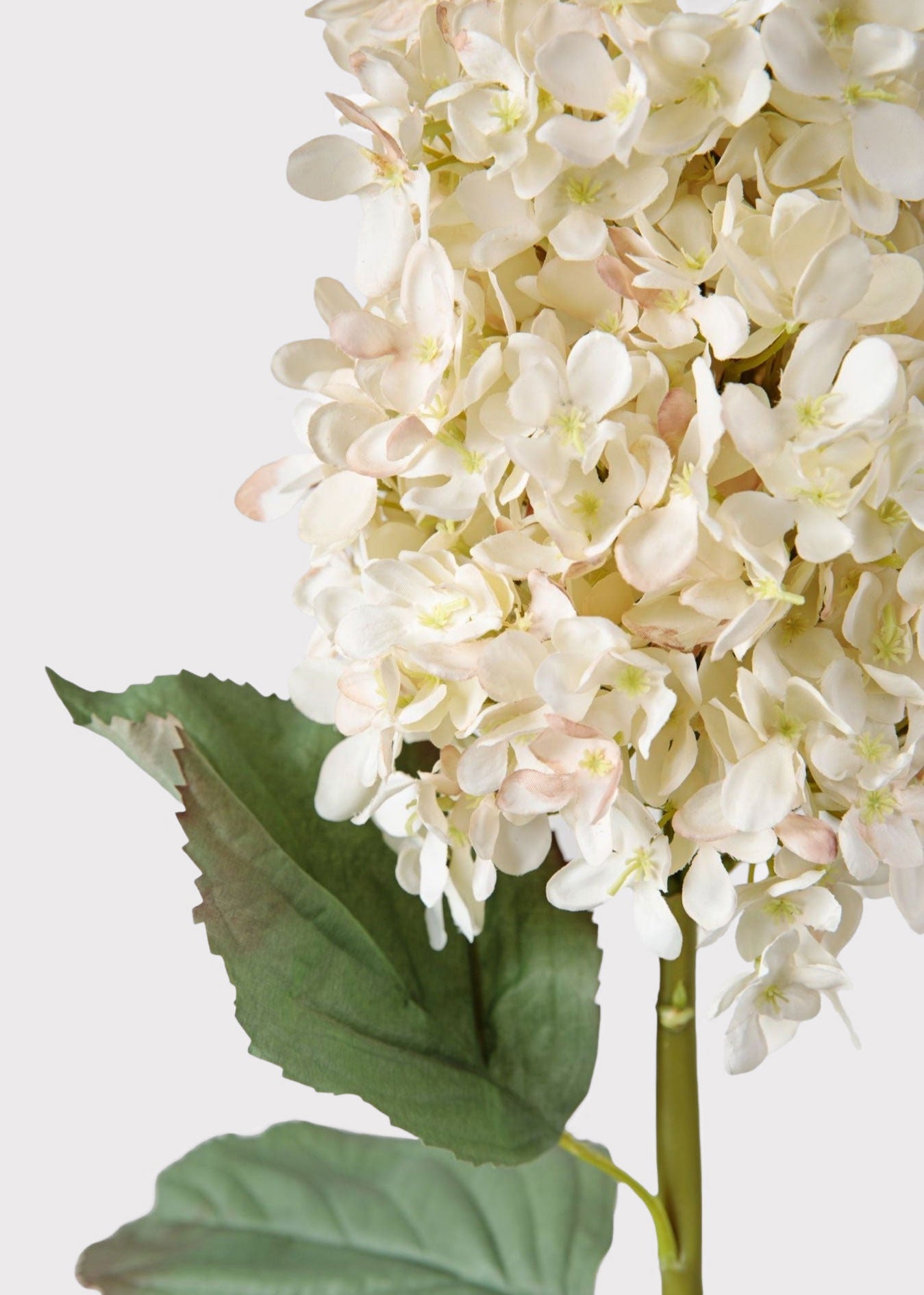 SAVE - Large Deluxe Faux Dried Cone Hydrangea in Parchment