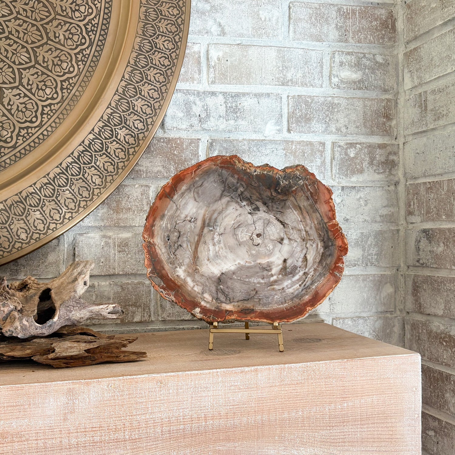 Madagascar Petrified Wood Slab