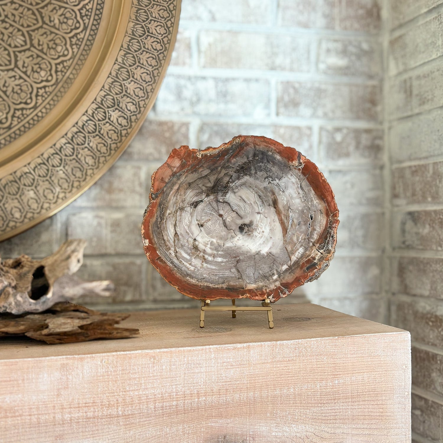 Madagascar Petrified Wood Slab