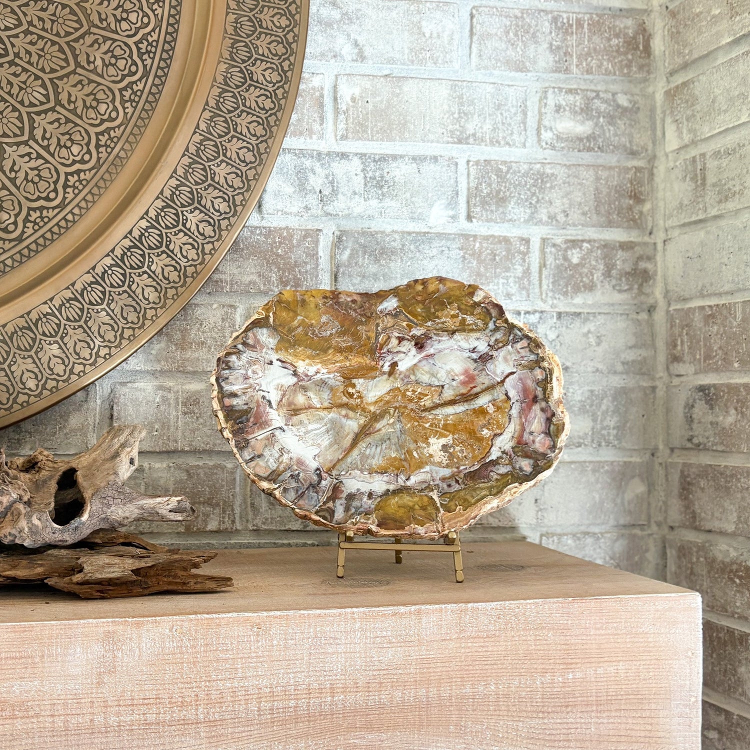 Madagascar Petrified Wood Slab
