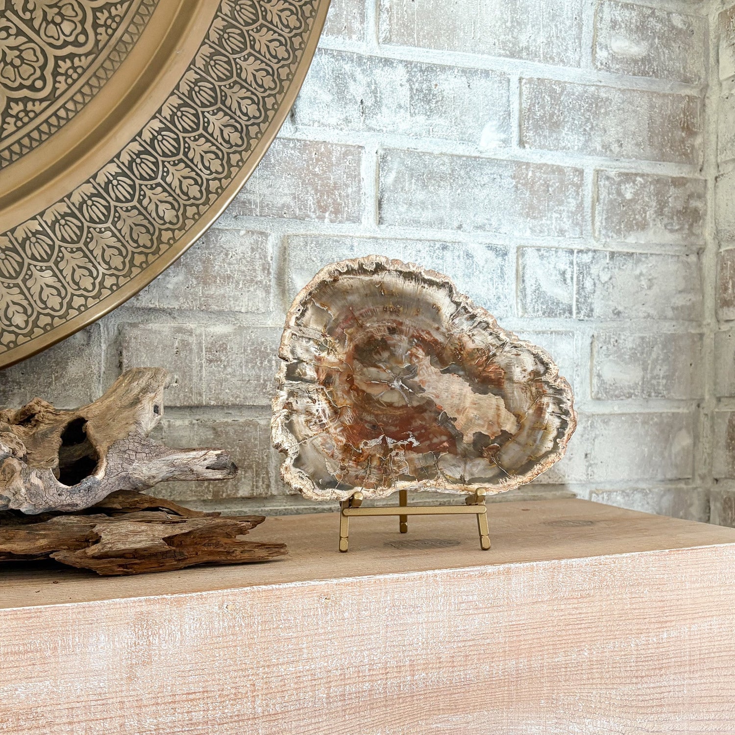 Madagascar Petrified Wood Slab