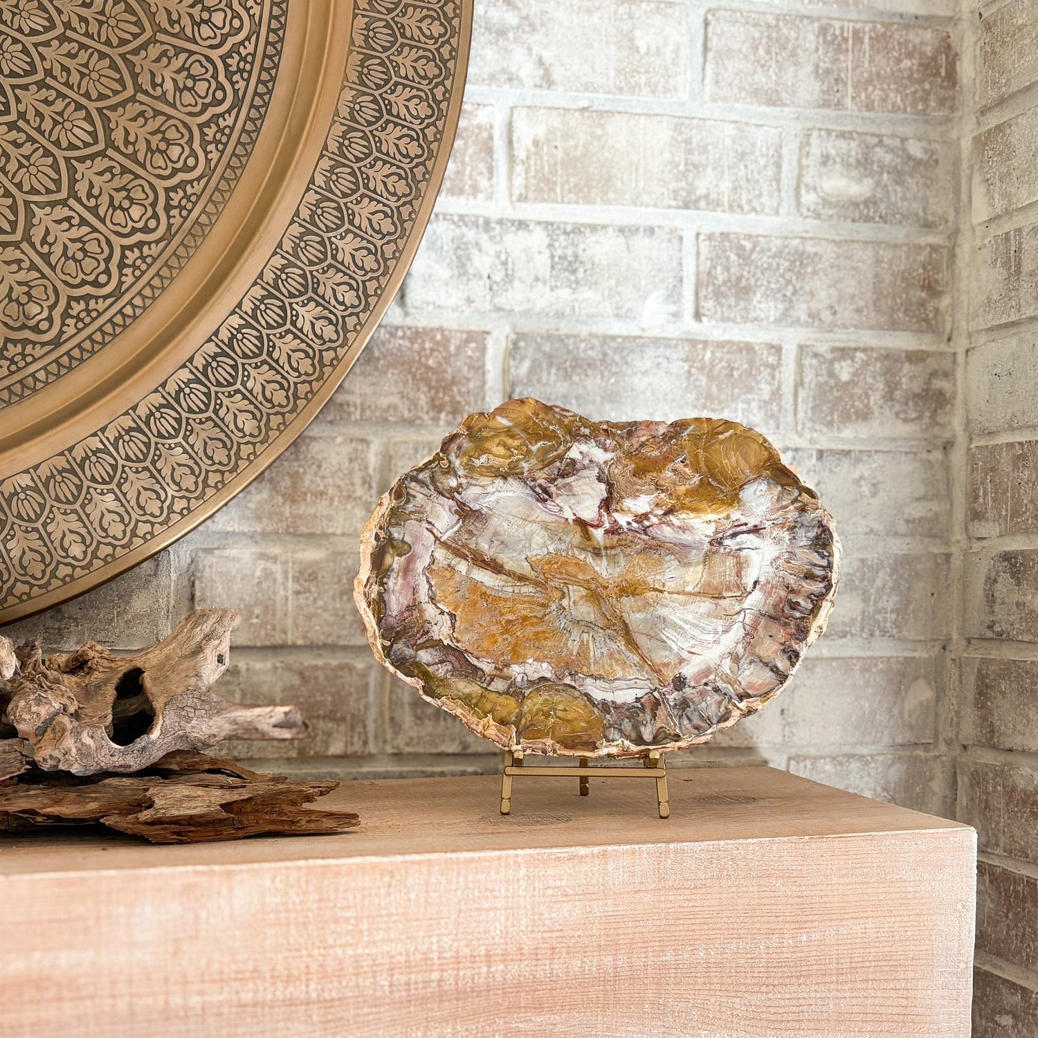 Madagascar Petrified Wood Slab
