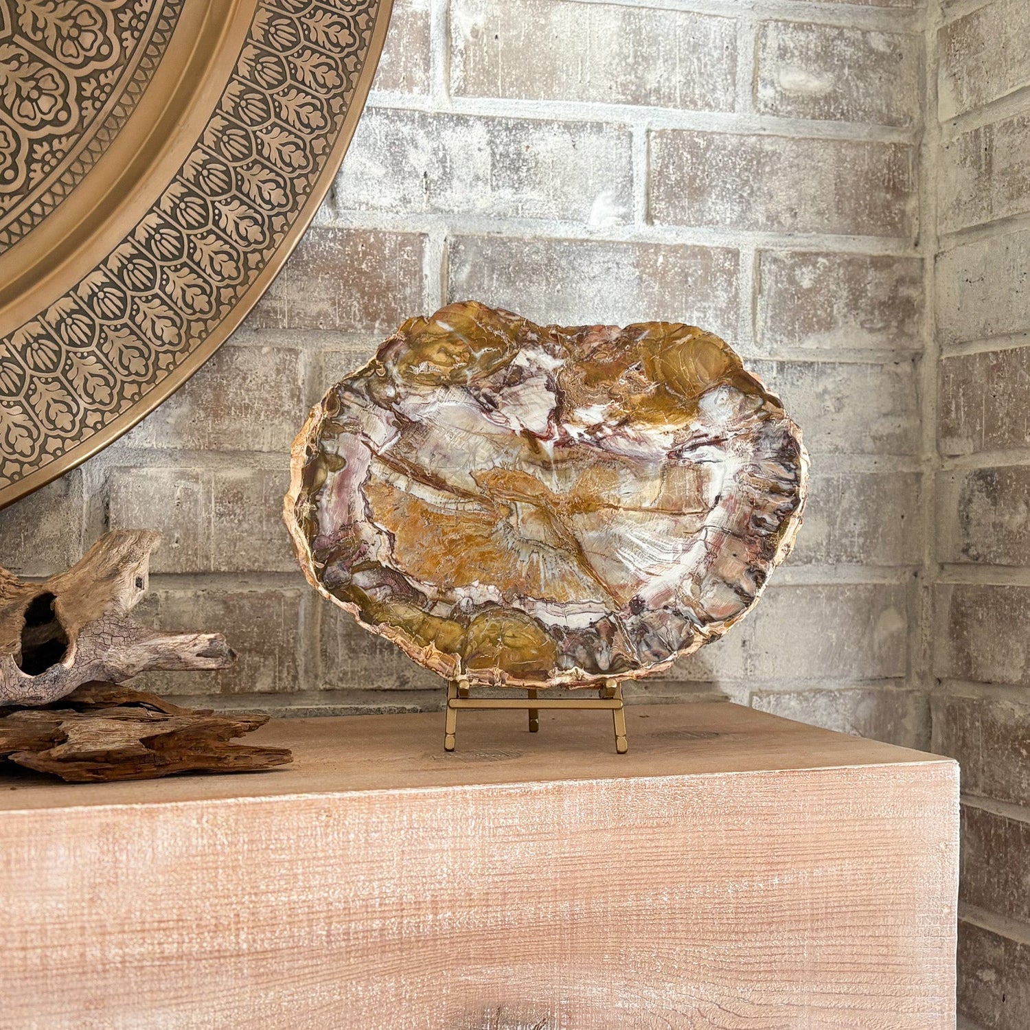 Madagascar Petrified Wood Slab