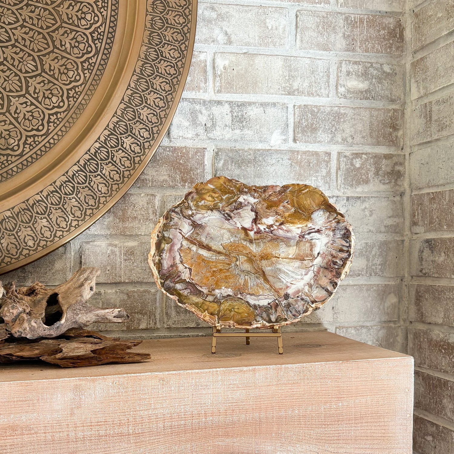 Madagascar Petrified Wood Slab