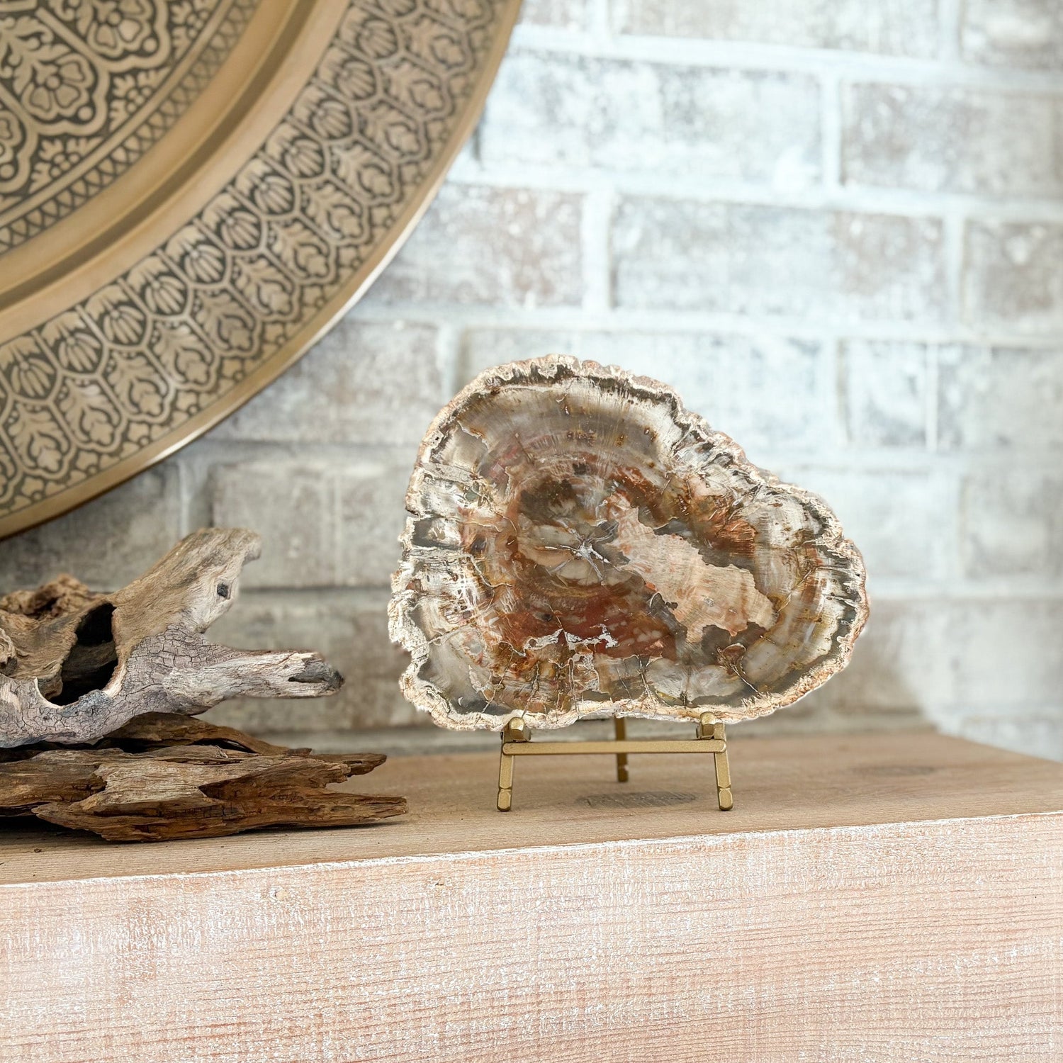 Madagascar Petrified Wood Slab