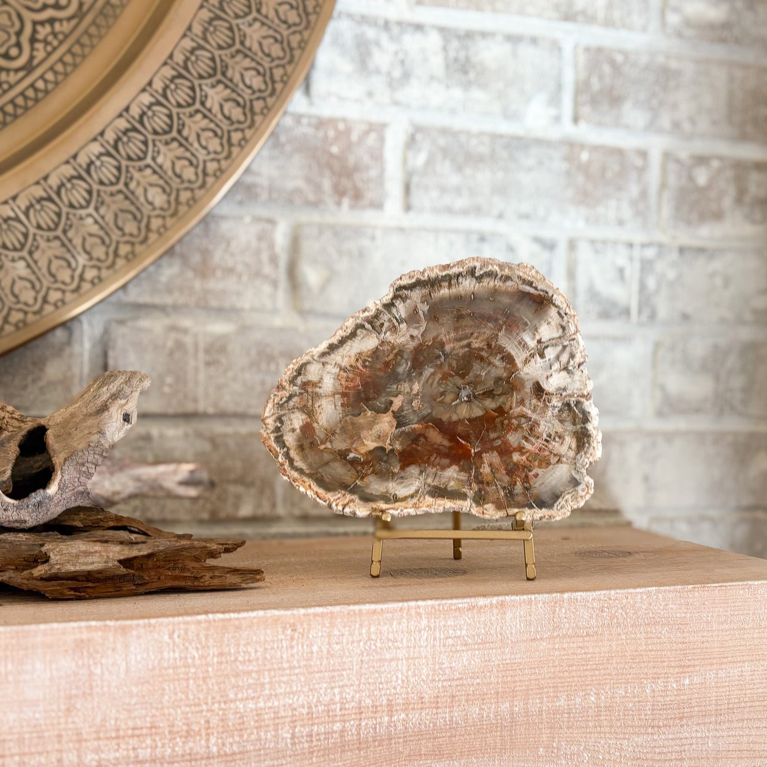 Madagascar Petrified Wood Slab