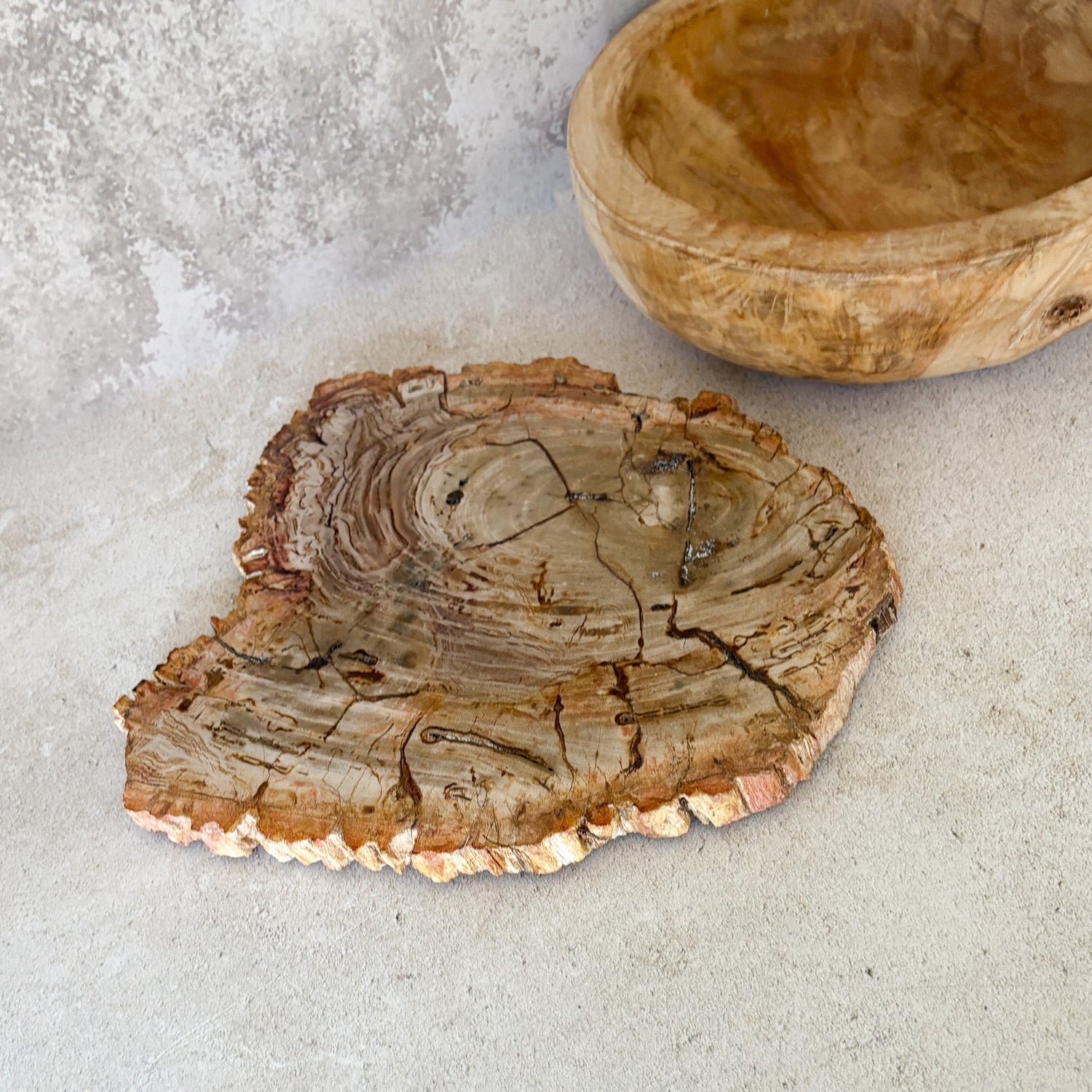 Natural Edge Petrified Wood Serving Board