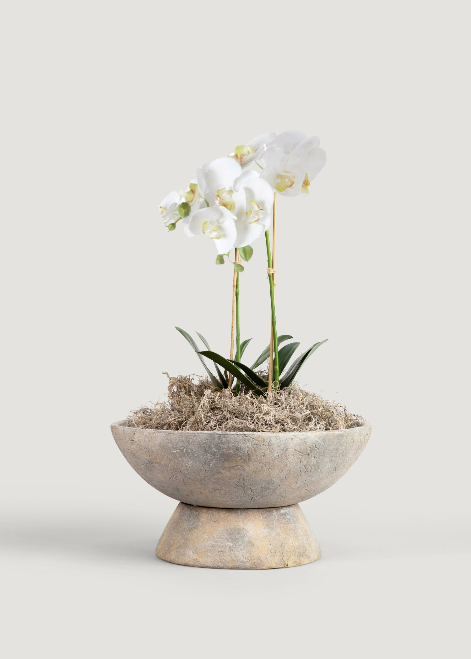 White Artificial Phalaenopsis Orchid Drop-In Plant - 23