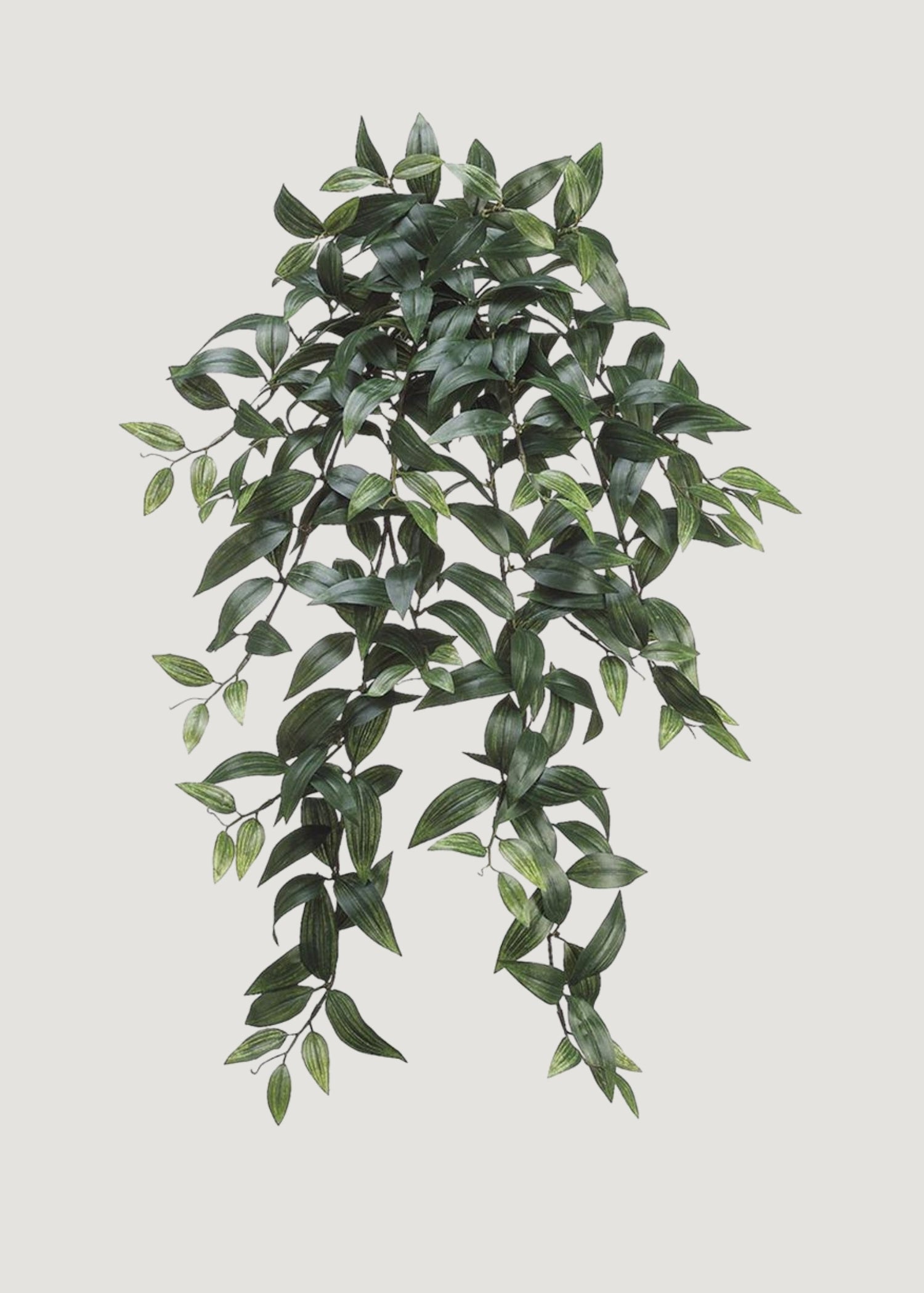 Fake Ruscus Leaf Hanging Plant - 31