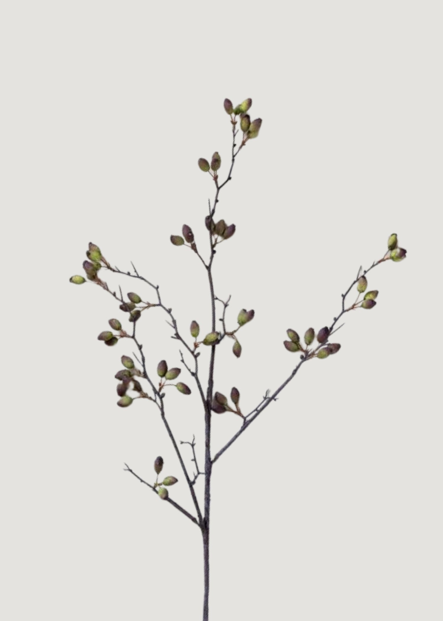 Fake Berries Tall Barberry Pod Branch - 37.75