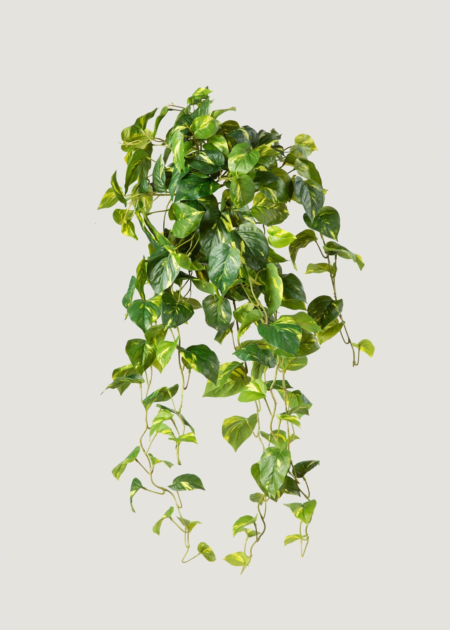 Deluxe Real Touch Pothos Fake Hanging Plant - 36