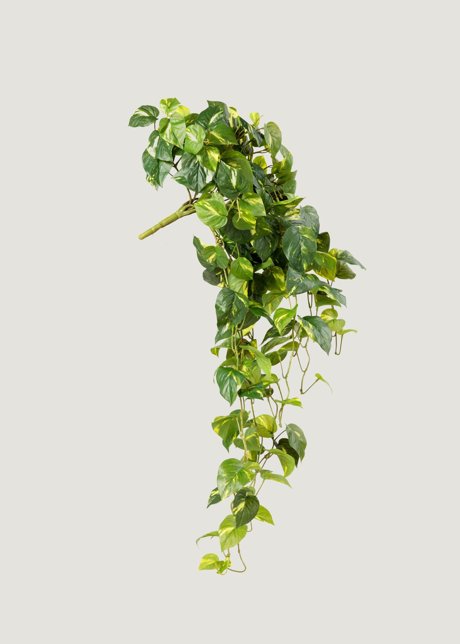 Deluxe Real Touch Pothos Fake Hanging Plant - 36