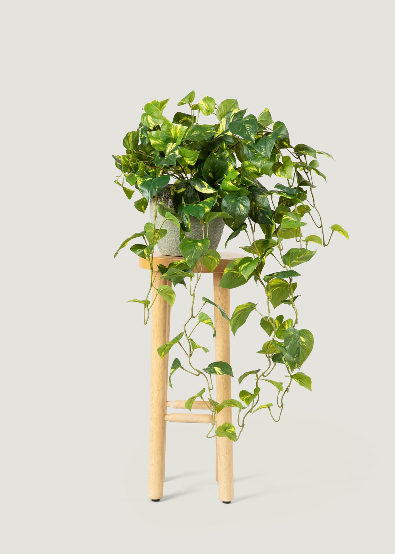 Deluxe Real Touch Pothos Fake Hanging Plant - 36