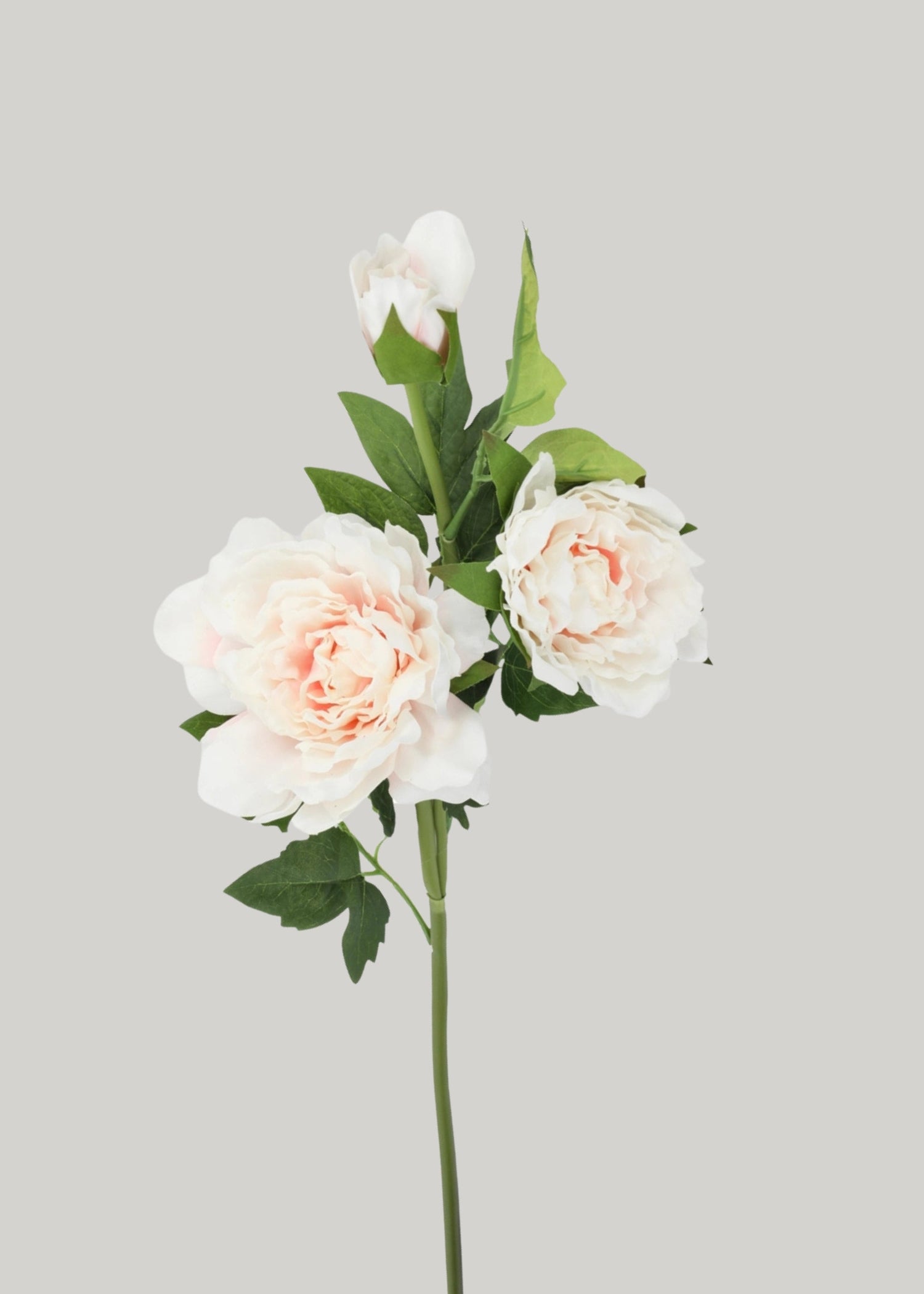 Real Touch Peony Flowers in Soft Pink - 26