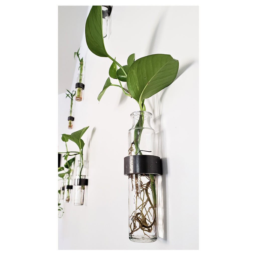 Minimal Wall Vase: Steel Ring