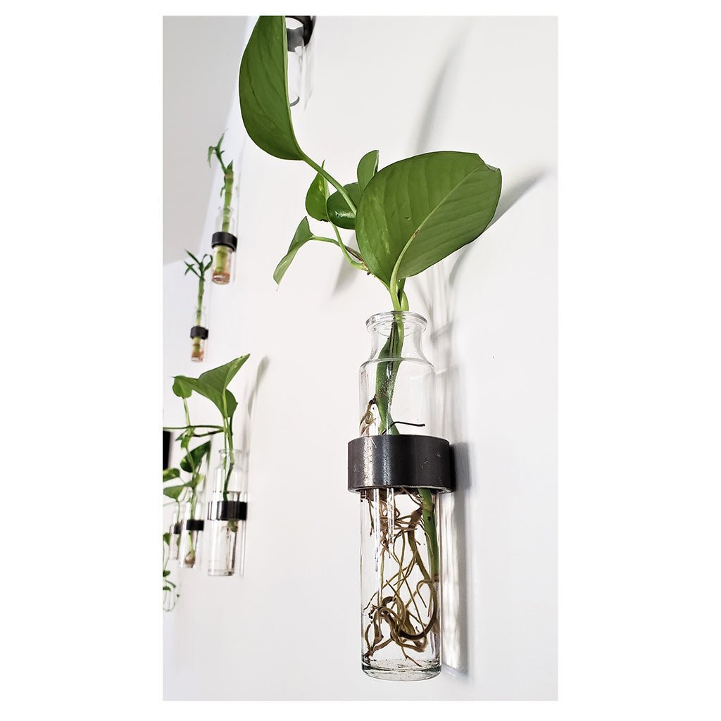 Minimal Wall Vase: Antique Brass Ring