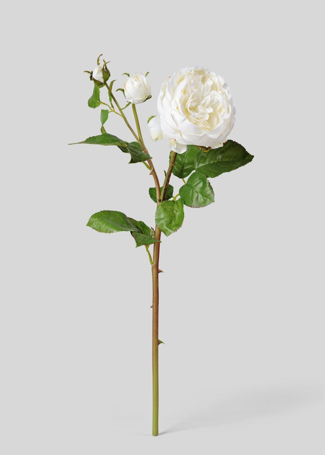 Real Touch Fake Flower English Rose with Bud - 21
