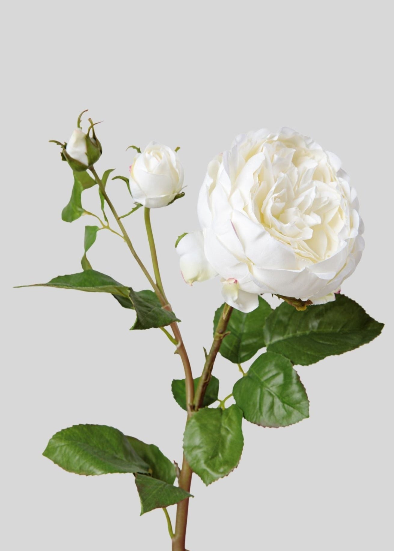 Real Touch Fake Flower English Rose with Bud - 21